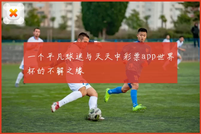 一个平凡球迷与天天中彩票app世界杯的不解之缘