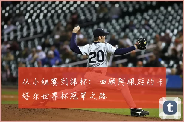 从小组赛到捧杯：回顾阿根廷的卡塔尔世界杯冠军之路