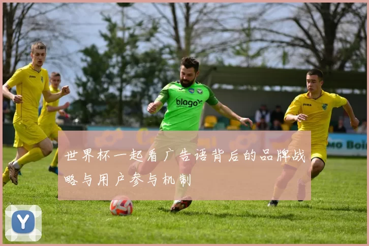世界杯一起看广告语背后的品牌战略与用户参与机制