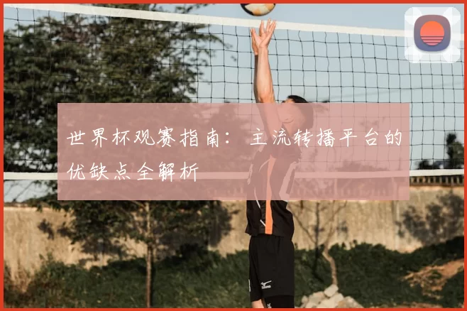 世界杯观赛指南:主流转播平台的优缺点全解析
