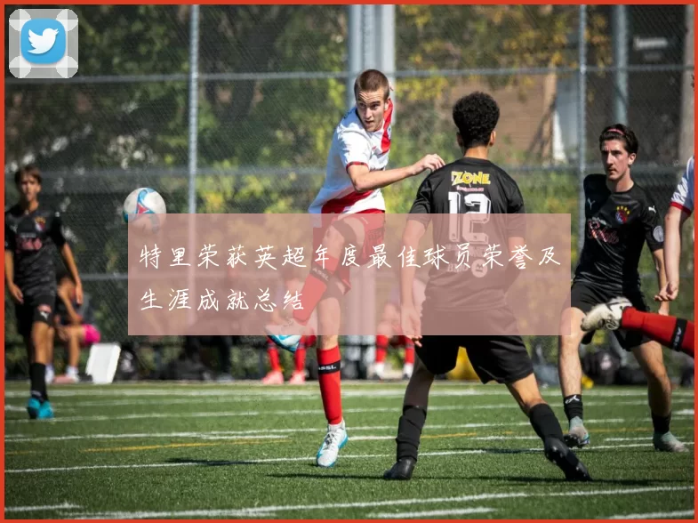 特里荣获英超年度最佳球员荣誉及生涯成就总结
