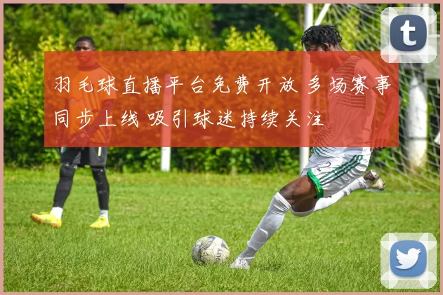 羽毛球直播平台免费开放 多场赛事同步上线 吸引球迷持续关注