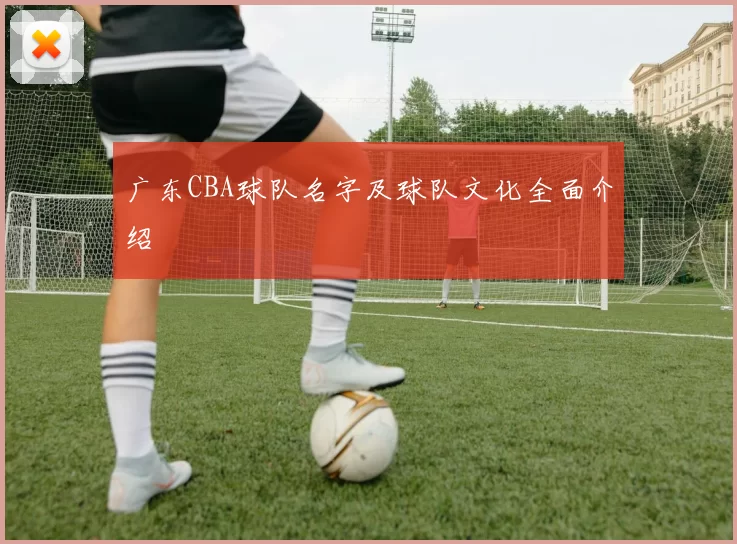 广东CBA球队名字及球队文化全面介绍