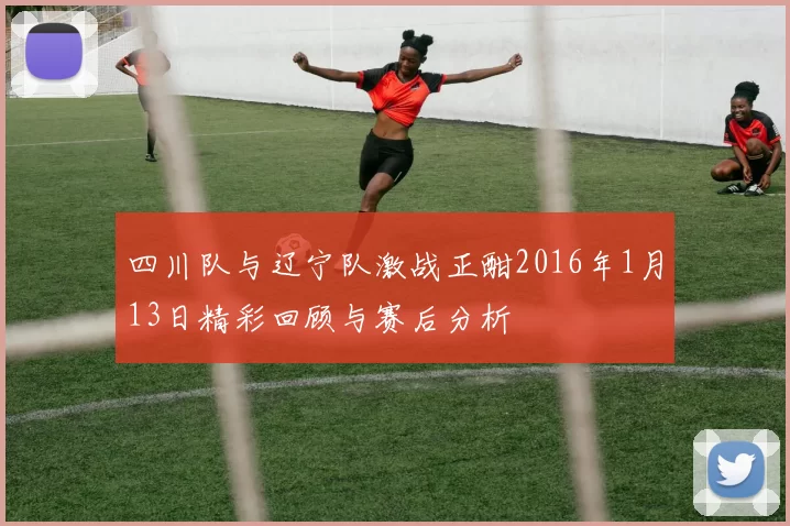 四川队与辽宁队激战正酣2016年1月13日精彩回顾与赛后分析
