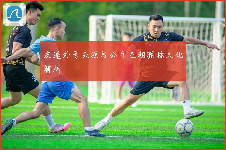 皮蓬外号来源与公牛王朝昵称文化解析