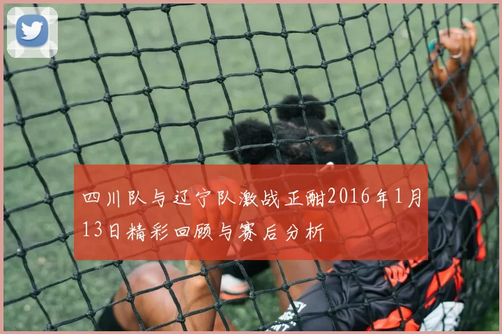 四川队与辽宁队激战正酣2016年1月13日精彩回顾与赛后分析