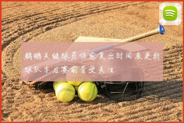 鹈鹕关键球员伤愈复出时间表更新球队季后赛前景受关注