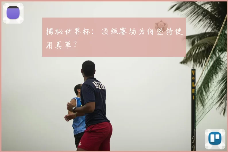 揭秘世界杯:顶级赛场为何坚持使用真草?