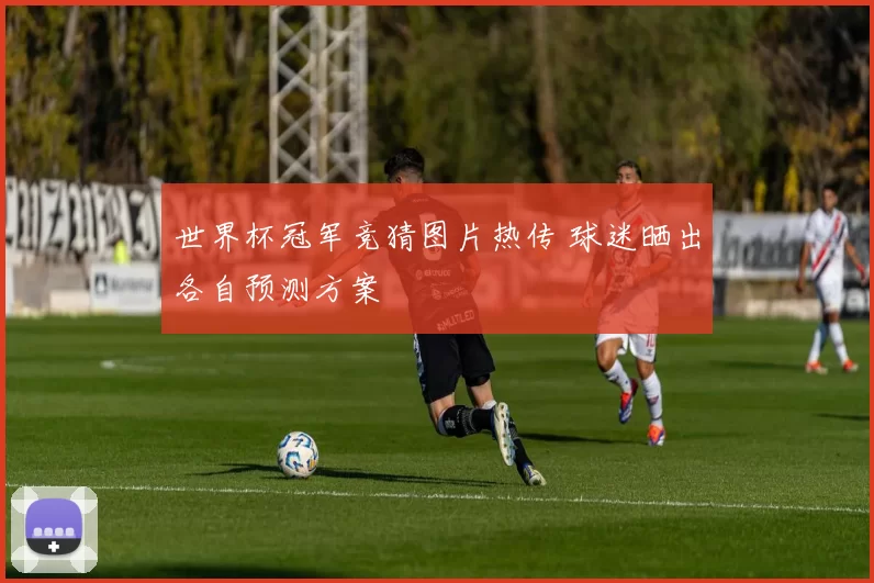 世界杯冠军竞猜图片热传 球迷晒出各自预测方案