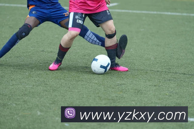 华体会体育品牌故事