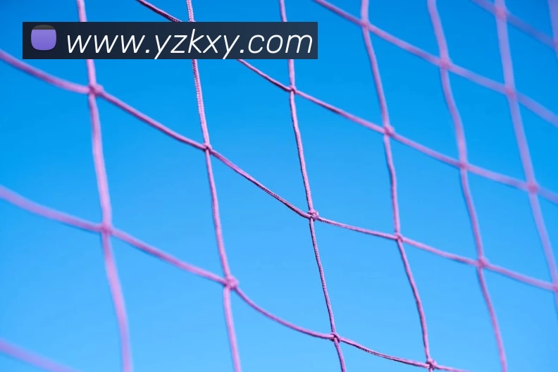 华体会体育服务体系